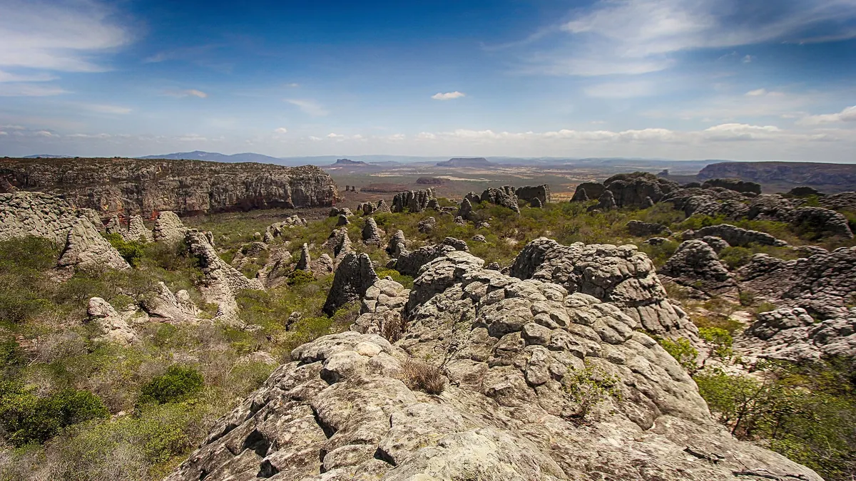 Caatinga em imagem de arquivo