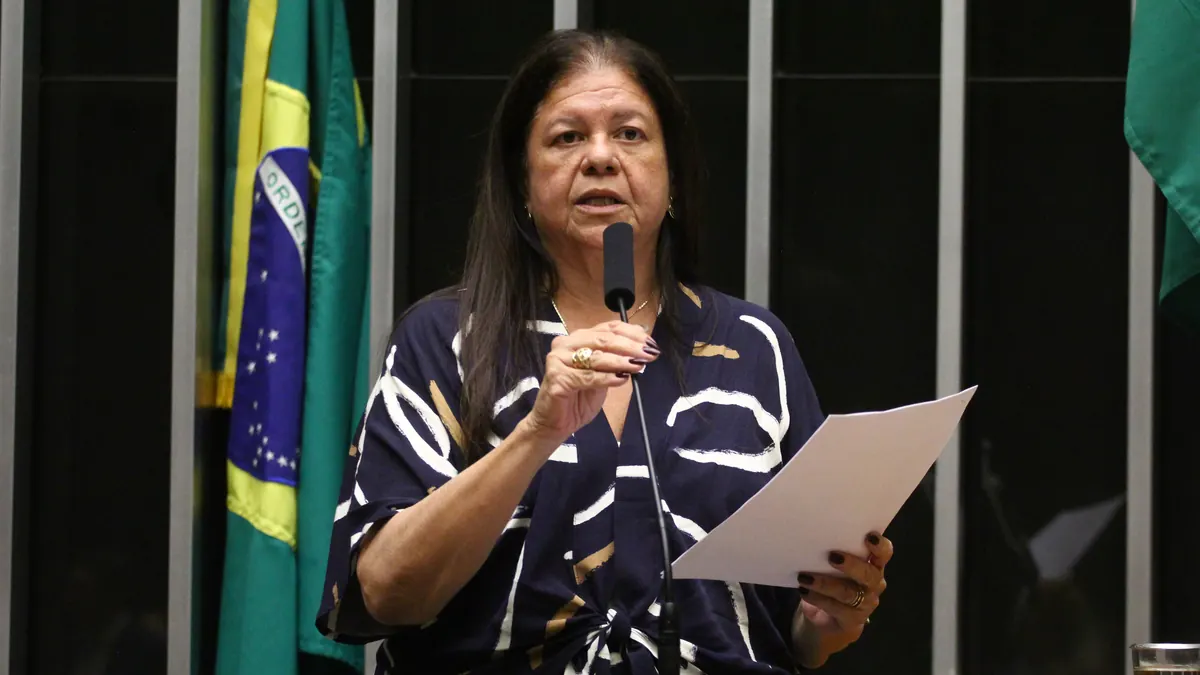 Laura Carneiro, relatora do projeto de lei