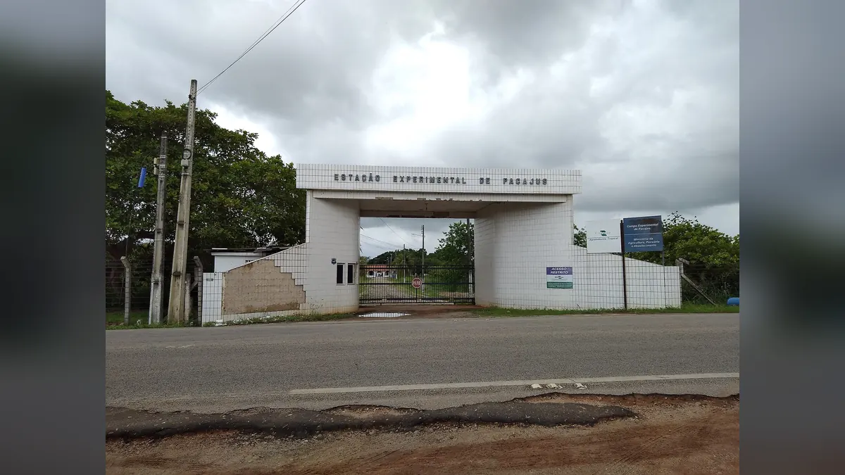 Embrapa em imagem de arquivo