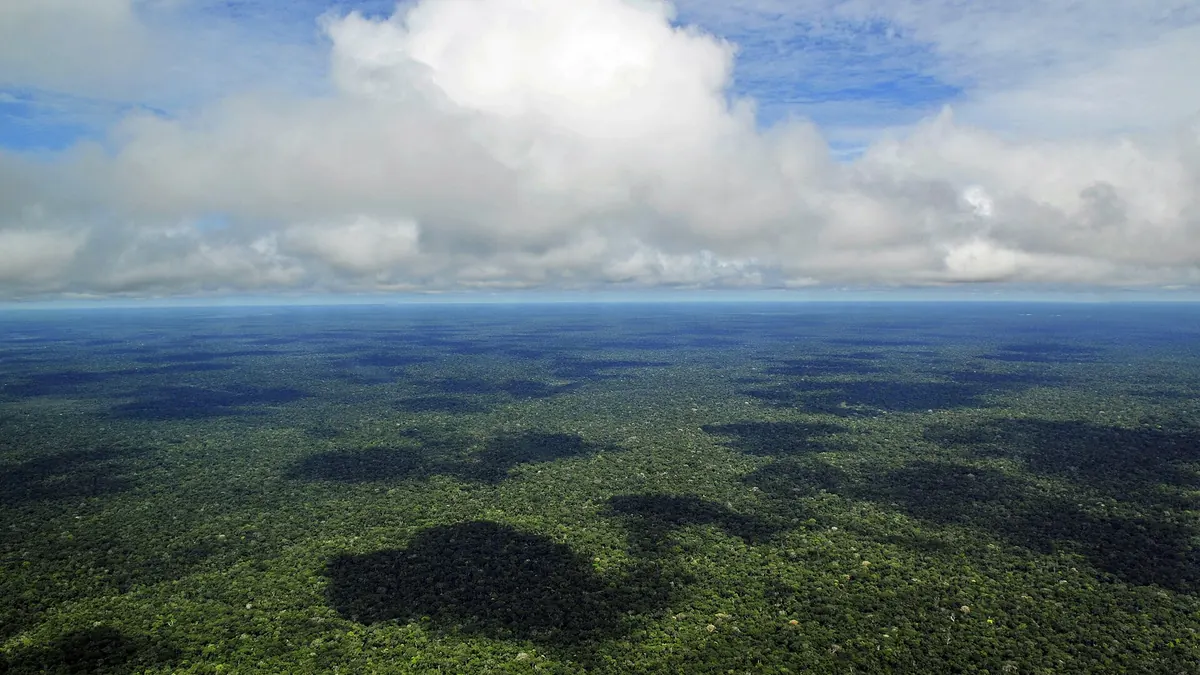Amazônia em imagem de arquivo