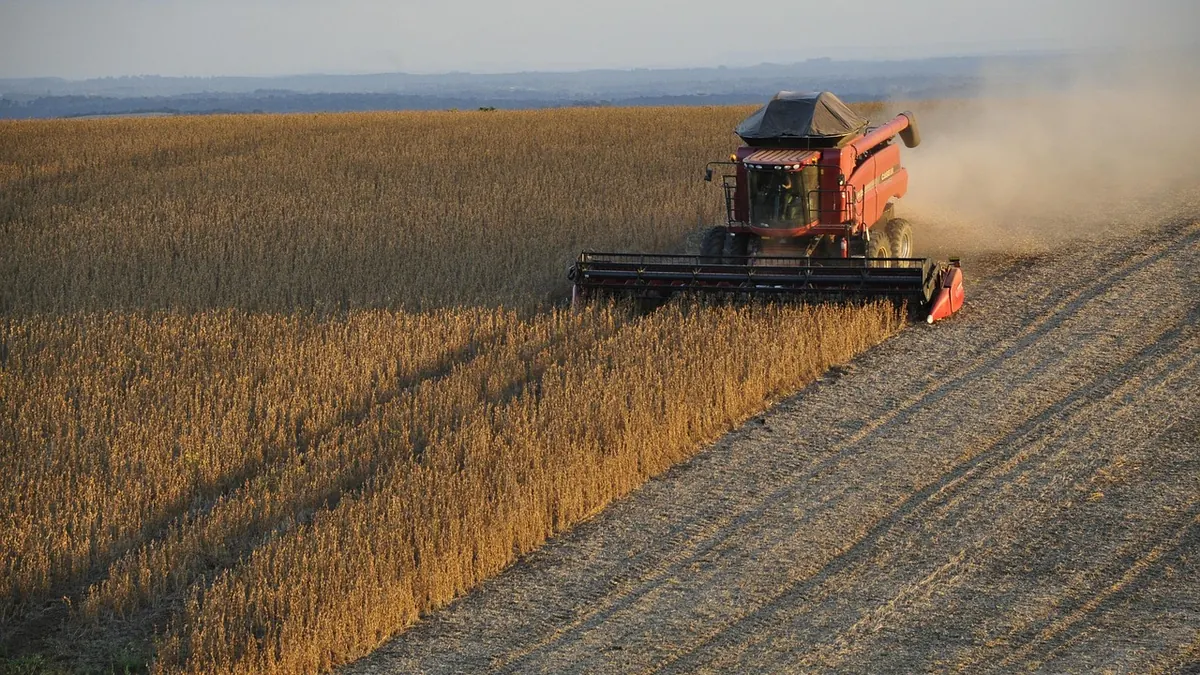 Imagem ilustrativa: Lavoura de soja no Brasil sob condições climáticas variáveis, com plantas e área de cultivo em destaque